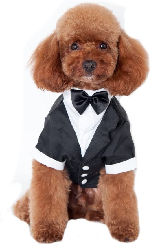  Keysui Mascotas fiesta traje Formal traje ropa abrigo para perros ropa 