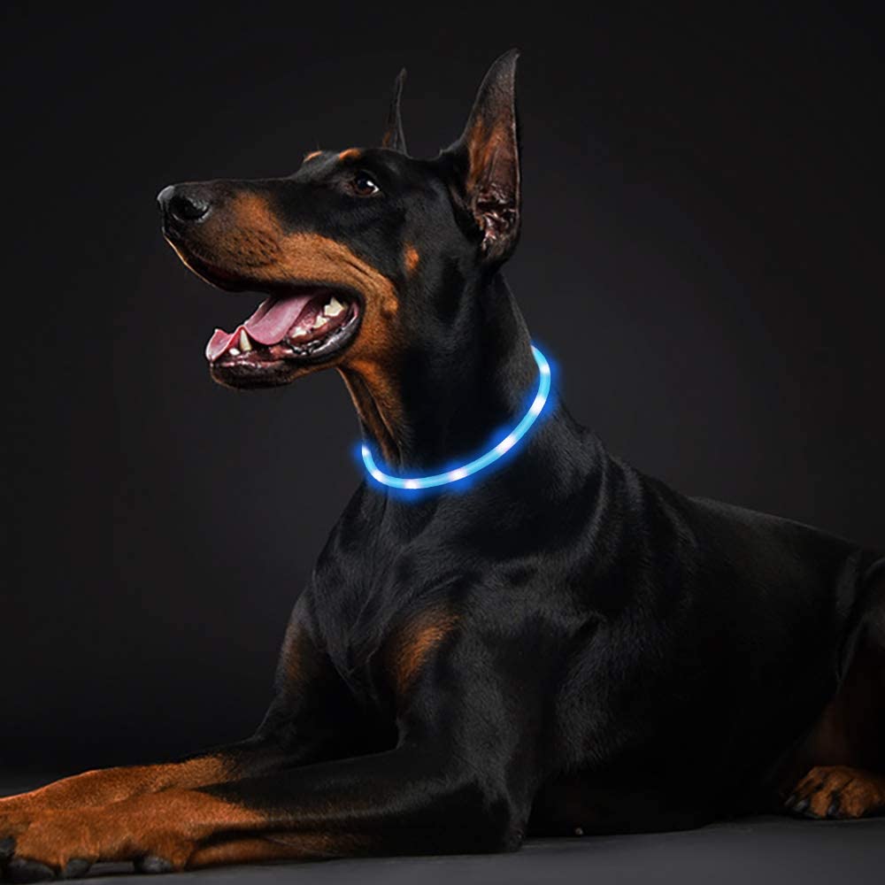  LaRoo LED Collar para Perros, LED Collar de Seguridad para Perros Mascotas de LED Luminous Que Brilla en la Noche Brillante Collar para Perros, Gatos y Mascotas 