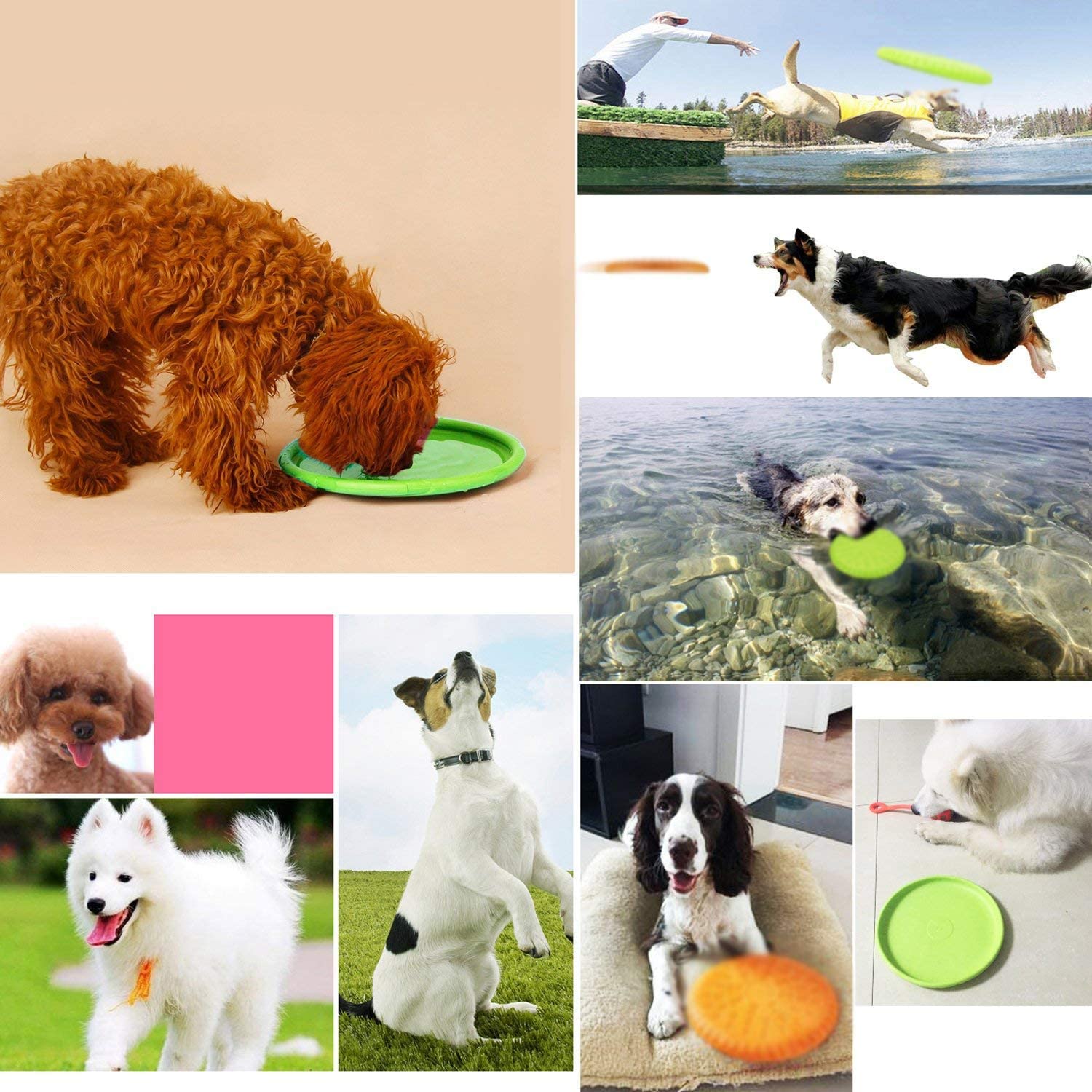  Linnuo Frisbee Perro Resistente Vuelo Disco Juguetes Interactivos Animal Juguetes de Entrenamiento Suave para Mascotas (Morado,L) 