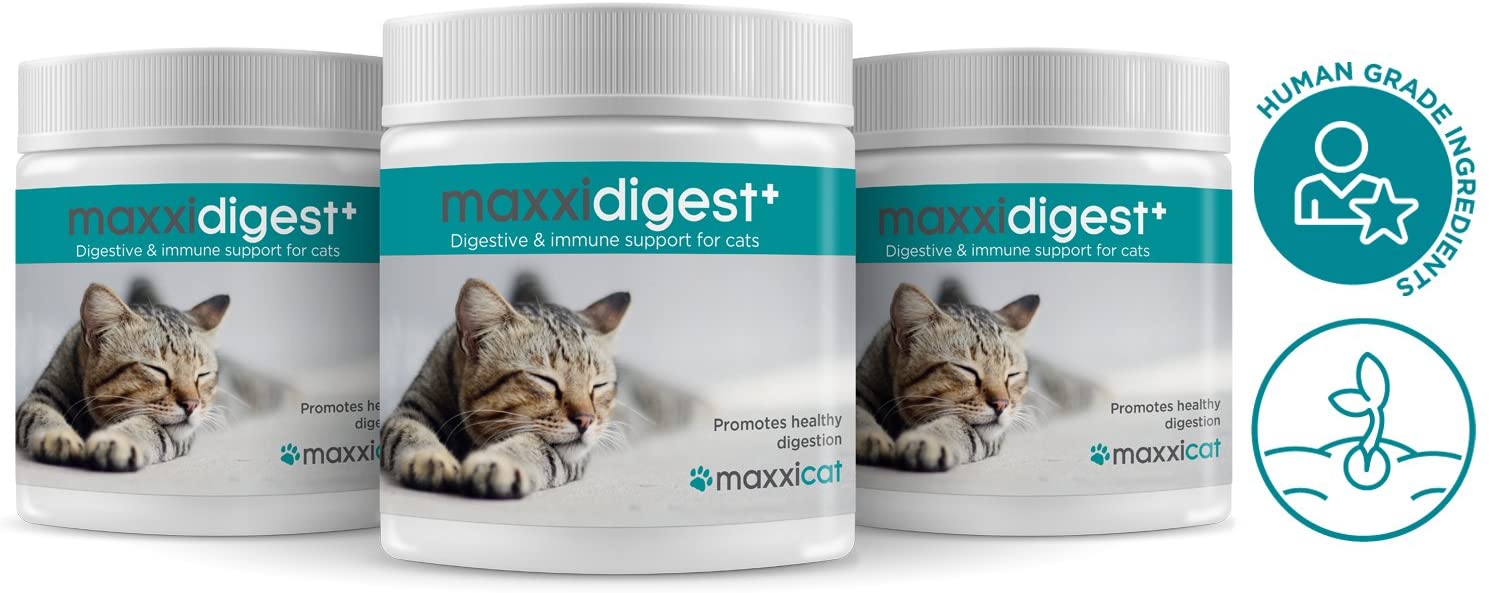  maxxicat – maxxidigest+ Probióticos, prebióticos y enzimas digestivas para Gatos - Ayuda Avanzada a la digestión Felina & al Sistema inmunológico - Sin Polvo OGM - Polvos 200 g 