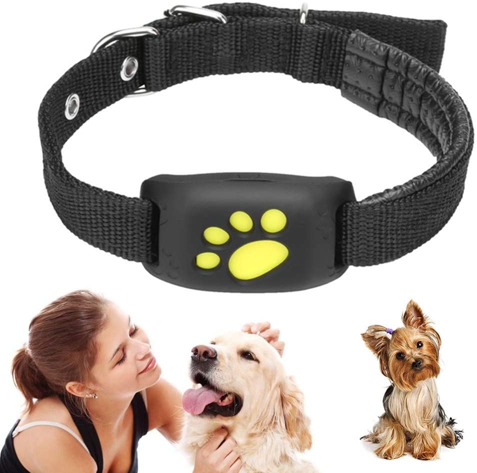  MENGZHEN 1 Sistema de Valla inalámbrica para Perro con GPS para Exteriores, Sistema de contención para Mascotas Invisible, Recargable, Collar Impermeable 