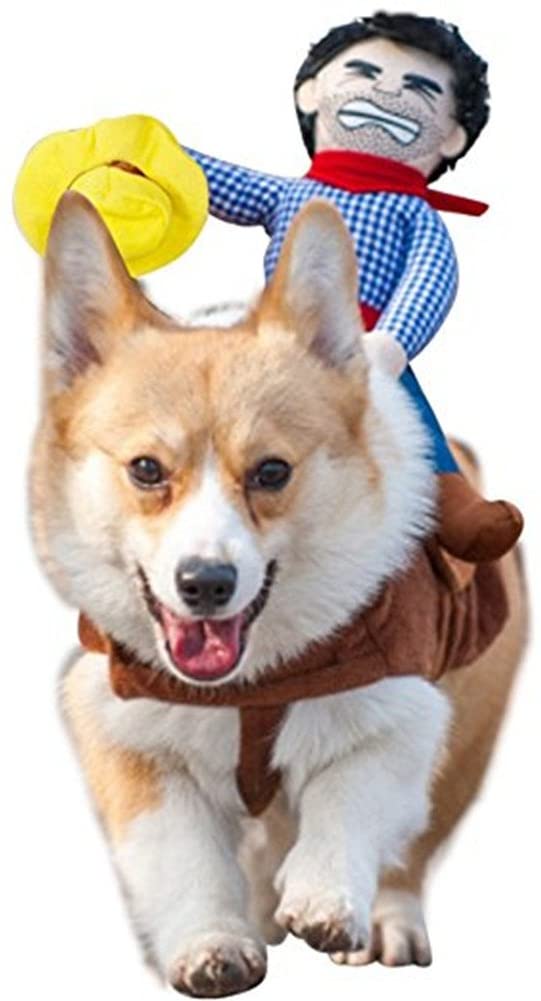  Morbuy Ropa para mascotas Ropa de mascotas de la novedad Perro con Vaquero Jinete Gracioso Vestido de fiesta para perros y gatos (M, color5) 