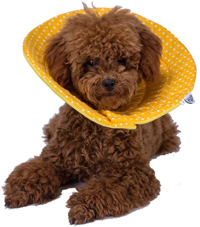  MYYXGS Collar de protección para Mascotas Suministros para Mascotas al Aire Libre Elizabeth Ring Sponge Pet Soft Collar Collar de Perro 