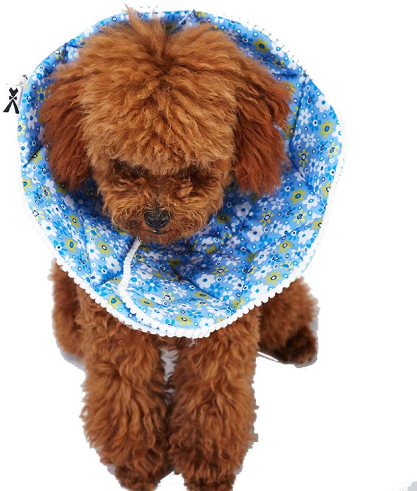  MYYXGS Collar de protección para Mascotas Suministros para Mascotas al Aire Libre Elizabeth Ring Sponge Pet Soft Collar Collar de Perro 