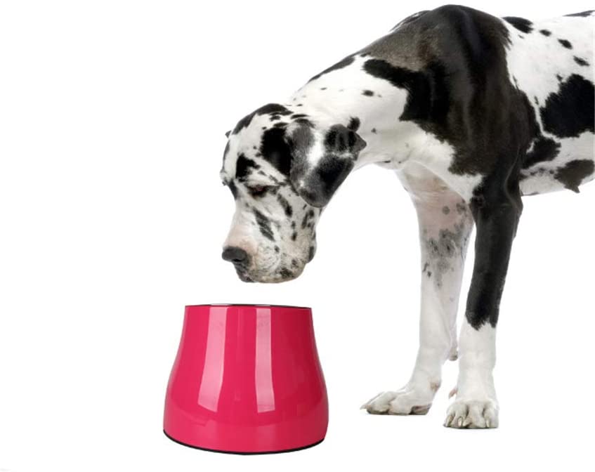  MYYXGS Diseño Exclusivo para realzar el tazón del Perro, el tazón de alimentación Elevado no derramado Elevado, el Cuello sin presión Antideslizante Alimentador 19 * 13 cm 