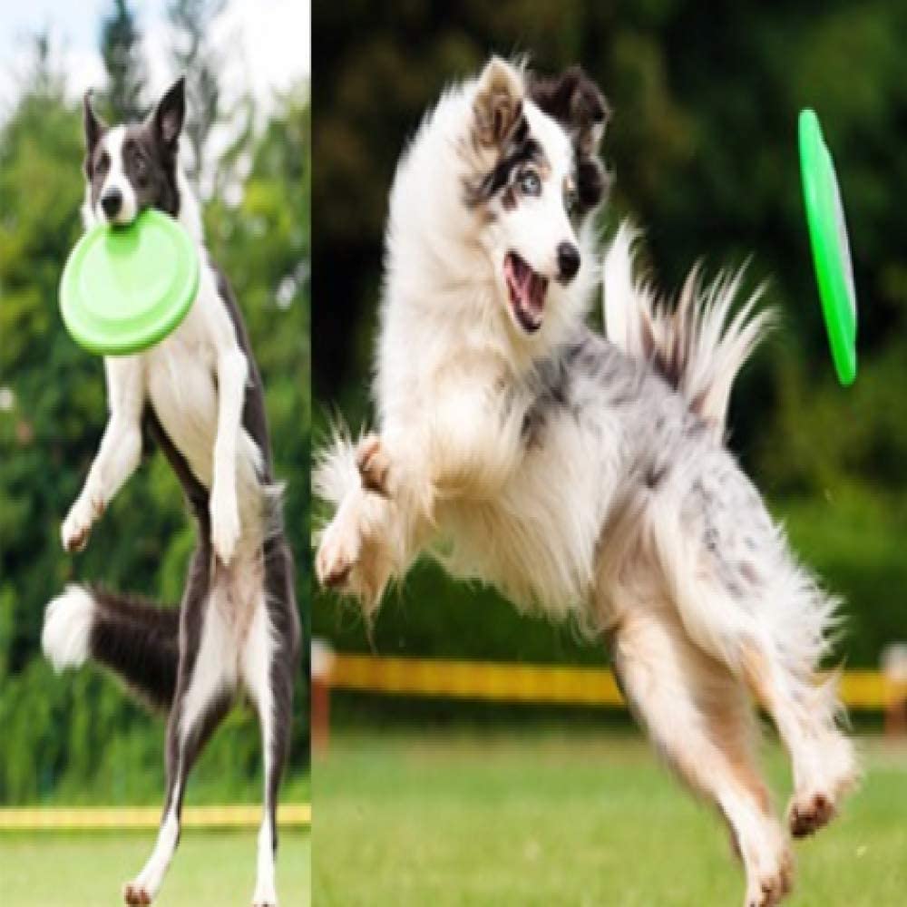  MYYXGS Frisbee para Perros Juguete De Entrenamiento para Perros Frisbee Resistente A Las Mordeduras Juguete Interactivo para Perros 