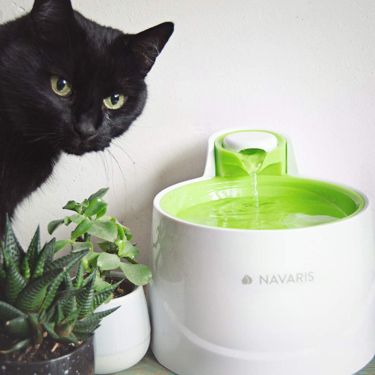  Navaris Fuente de Agua para Gatos y Perros - Bebedero de 2 litros con Filtro y Bomba Sumergible - Dispensador de Agua con Flujo Ajustable Color Verde 