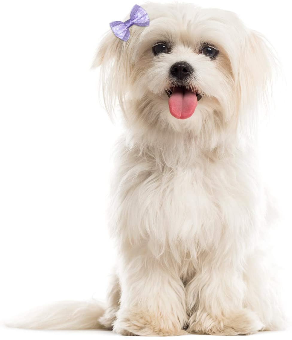 Netspower Accesorios para el Pelo del Perro Tocado del Arco, 50Pcs Horquilla Mascotas Accesorios para el Pelo del Perro Accesorios Pinza de Pelo de Mariposa para Mascotas con Bandas de Goma 