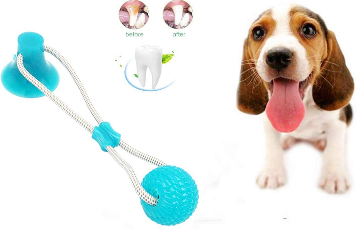  Nifogo Pet Molar Bite Toy ，Juguete Multifuncional para mordedura de Molar Juguete con Ventosa Juguetes para morder para Perros Juguetes para Perros Molar para Mascotas (Verde, 1 pcs) 