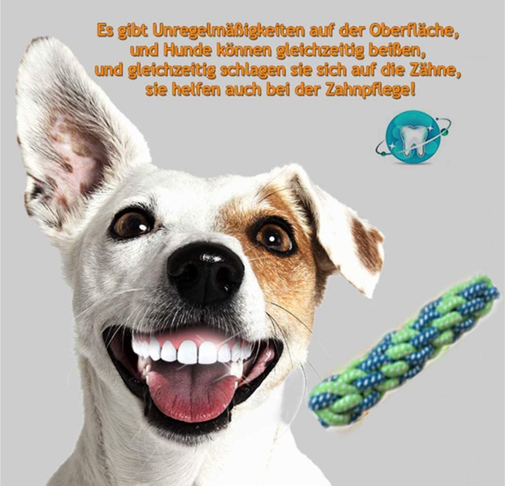  Nifogo Pet Molar Bite Toy ，Juguete Multifuncional para mordedura de Molar Juguete con Ventosa Juguetes para morder para Perros Juguetes para Perros Molar para Mascotas (Verde, 1 pcs) 