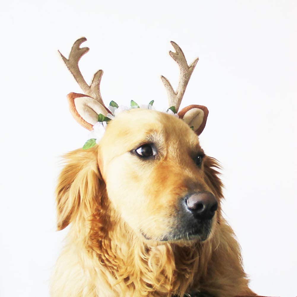  Nordira - Diadema para Mascotas con diseño de Orejas de Reno navideño, decoración para Perros y Gatos 