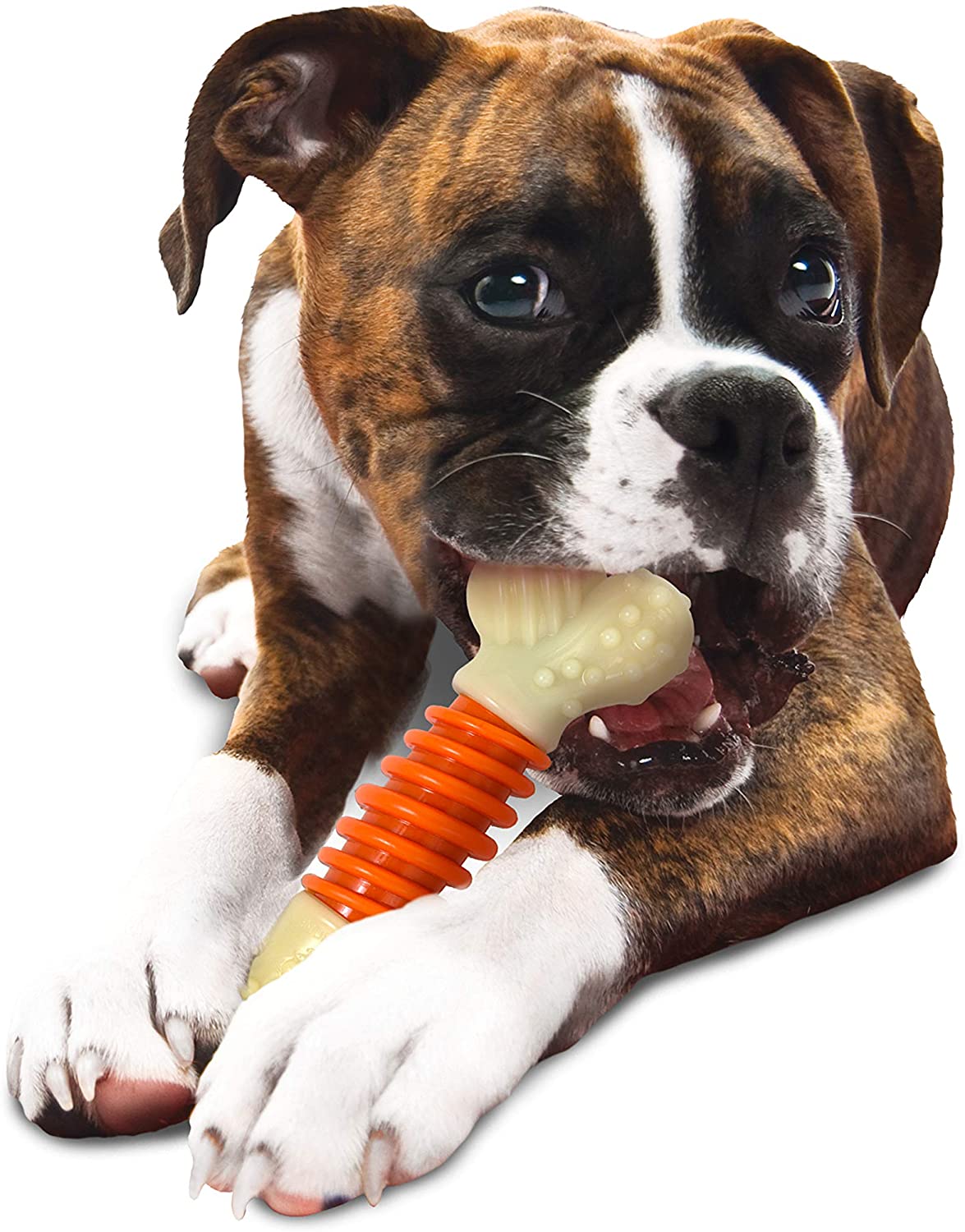  Nylabone Hueso masticable Doble de la Gama Extreme Juguete masticable para la higiene Dental de los Perros | Sabor a beicon | Grande | para Perros de hasta 23 kg 