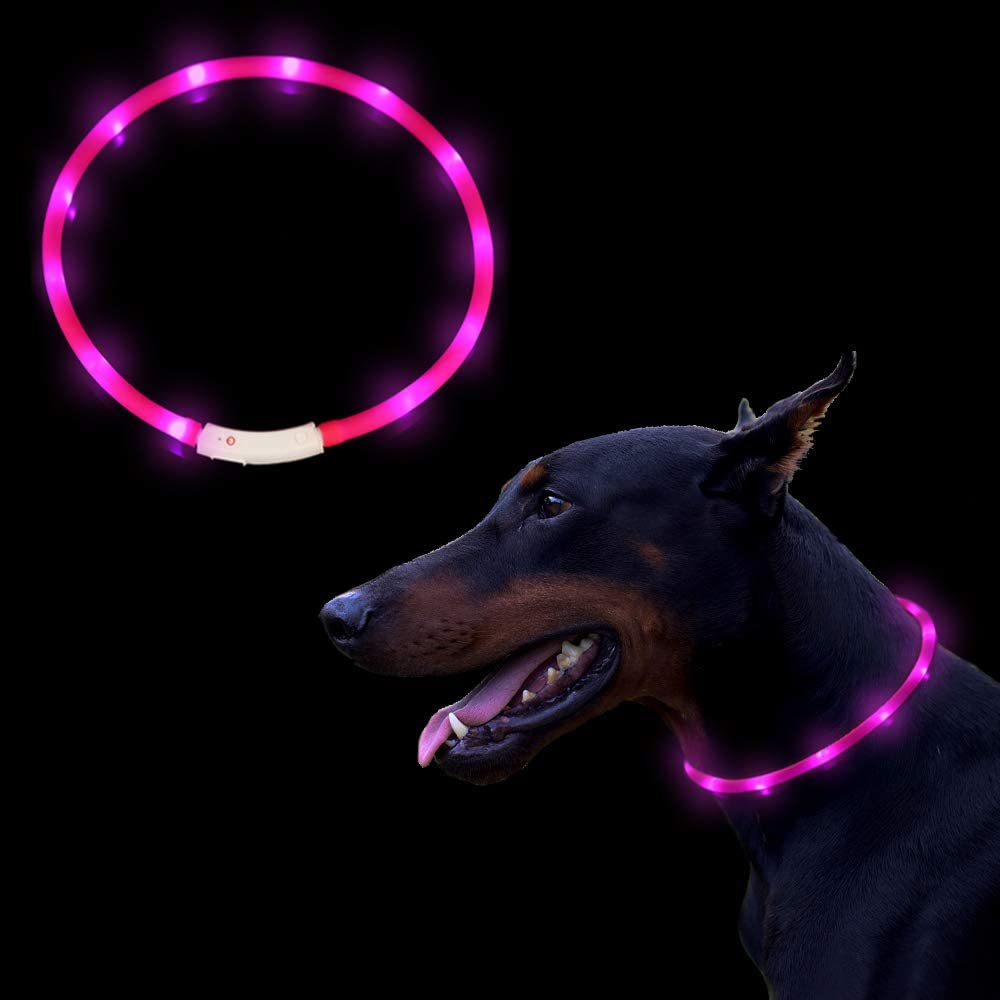  OIZEN LED Collar para Perros, LED Collar de Seguridad para Perros Mascotas de LED de Nylon Luminous Que Brillante Collar para Todos los Perros, Gatos y Mascotas 