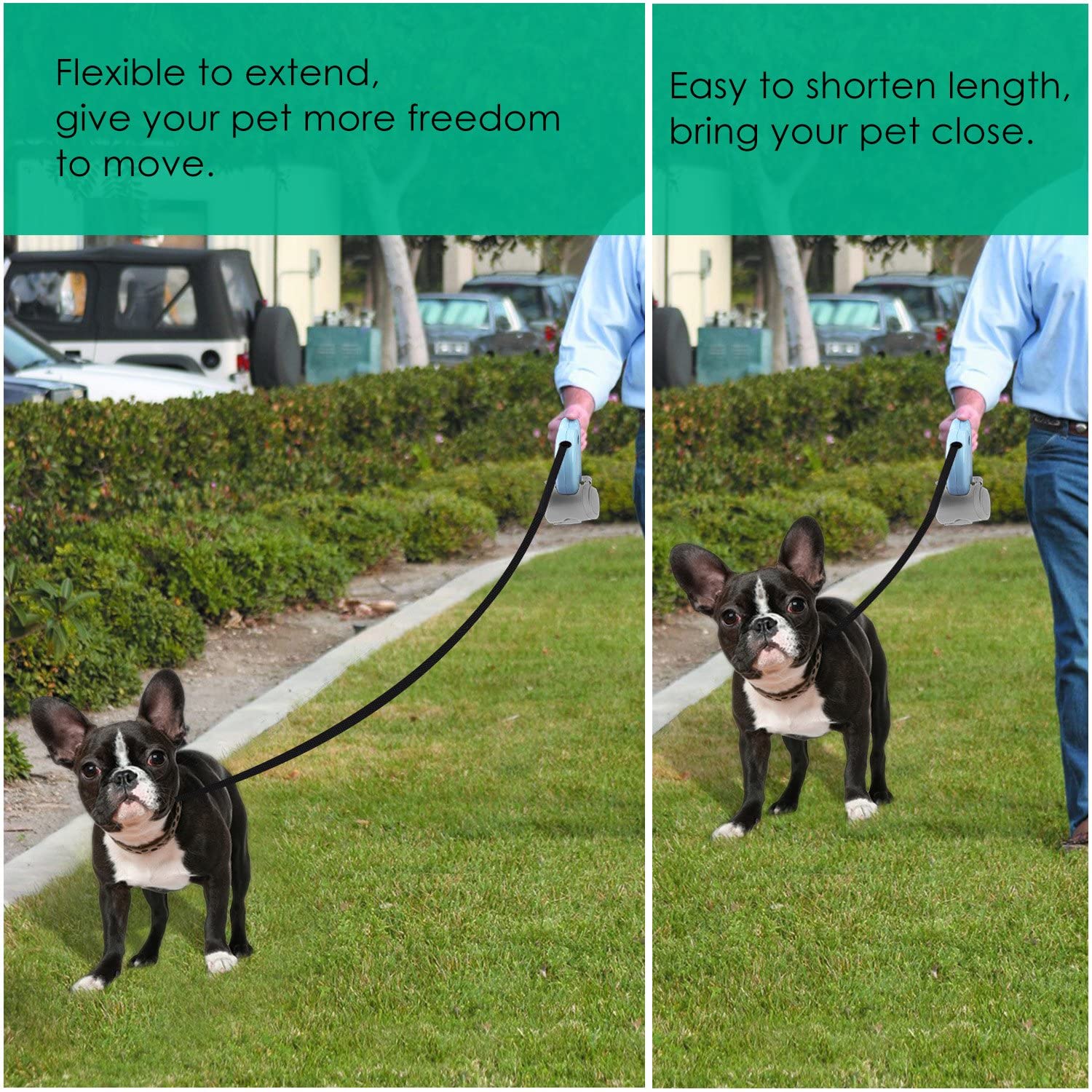  Pawaboo Correa de Perro - 5M / 16.4 FT Automático Retráctil Pet Dog Cat Leash Cuerda de Tracción con Botón de Interrupción con Bloqueo, Talla Chica, Azul 