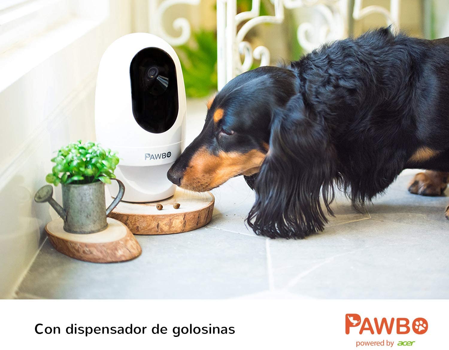  Pawbo Plus Cámara interactiva para Mascotas con tecnología Acer: cámara de Video HD WiFi con Audio bidireccional, con dispensador de golusinas y Puntero láser deseñado para Perros y Gatos 