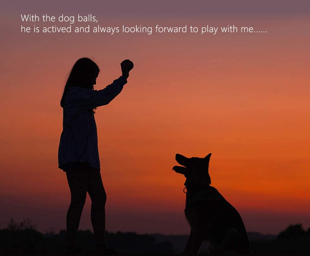  Petper Cw-0039EU - Juguete de pelotas para perros, pelotas de tenis de caucho para entrenar y jugar con cachorros (paquete de 3) 