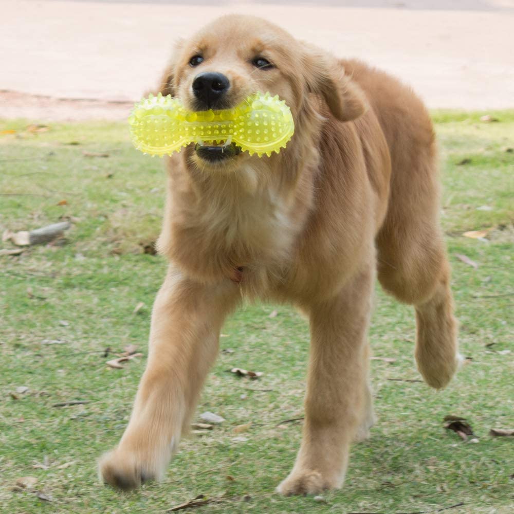  Petper - Juguetes para perros, bola dispensadora de comida, juguete dental para perros para entrenar y jugar (amarillo) 