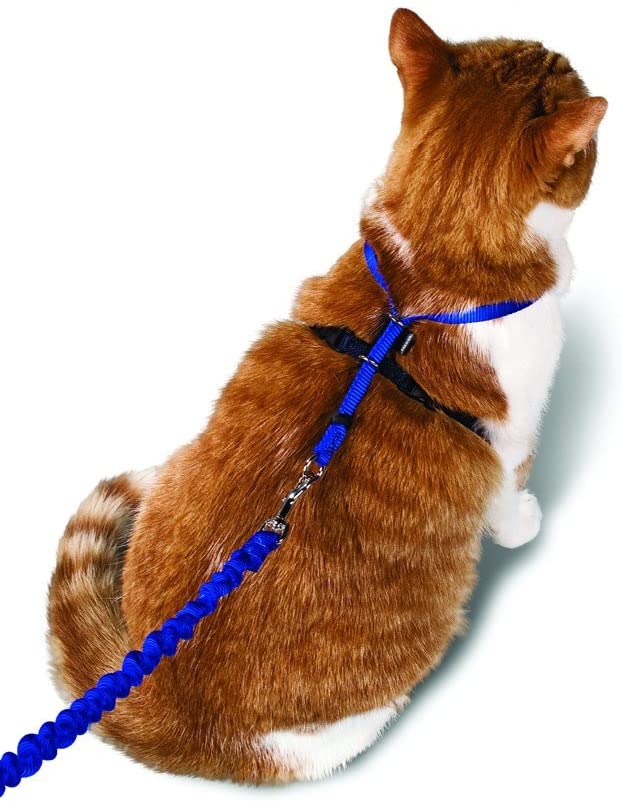  PetSafe Easy Walk Arnés para Gato y Plomo 