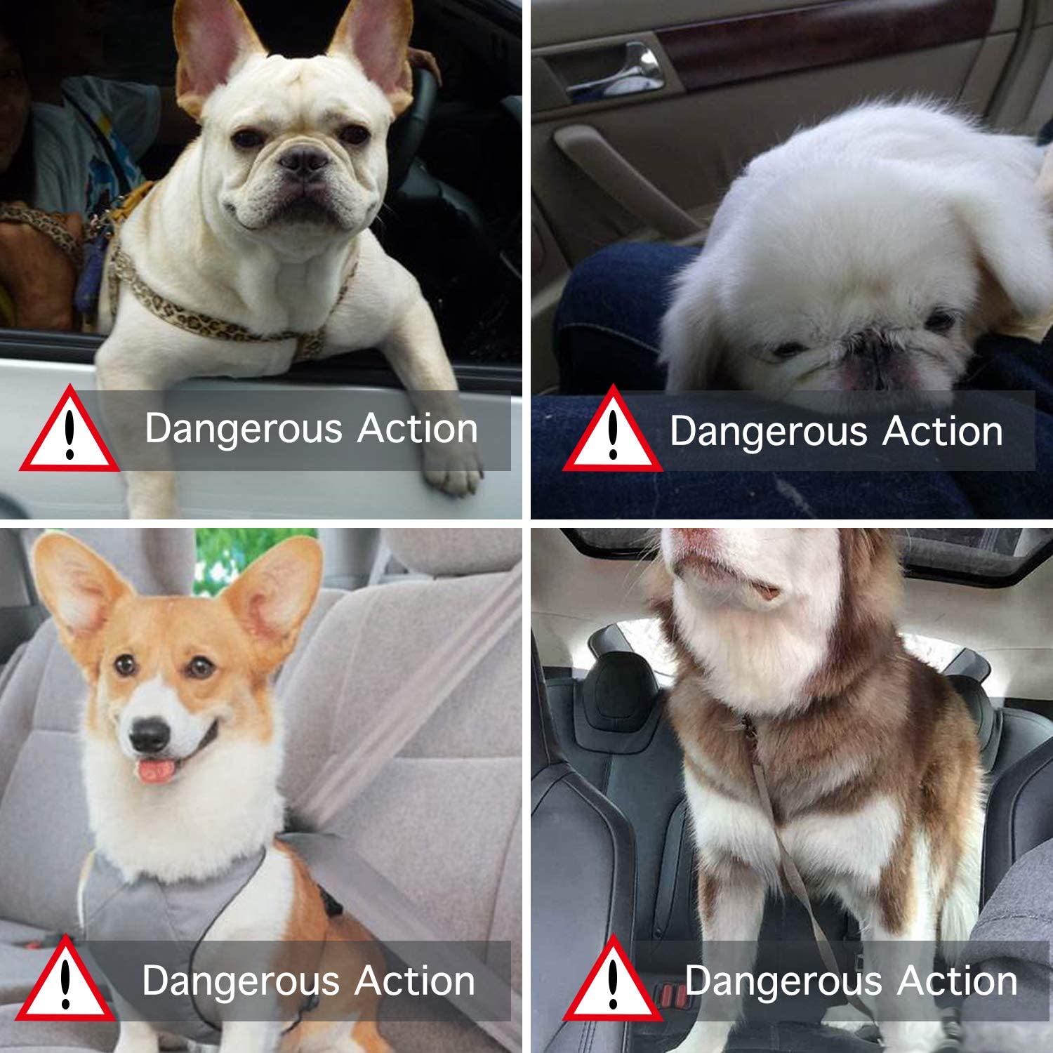  Petxt Asiento de Seguridad para Mascotas, Asiento de Seguridad Plegable para Viajes en automóvil con Clip de Seguridad para Gatos y Perros, Impermeable, cómodo, Transpirable (Huella Gris) 