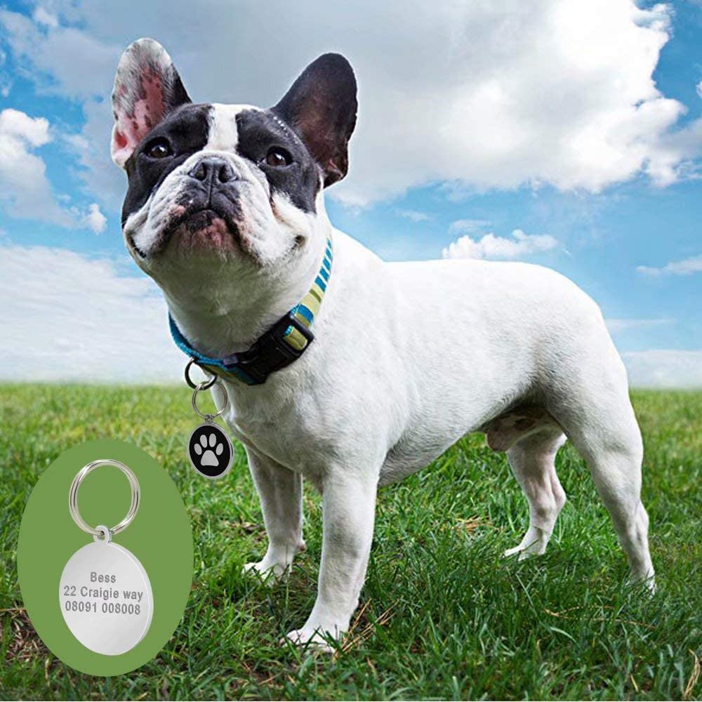  Placa de identidad Berry para perros y gatos con grabado personalizado 