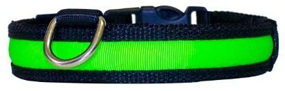  PRECORN Collar para perros luminoso"Zandoo" Collar LED en el color verde. Tamaño S (35-40 cm) 
