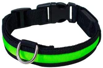 PRECORN Collar para perros luminoso"Zandoo" Collar LED en el color verde. Tamaño S (35-40 cm) 