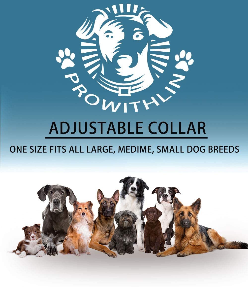  prowithlin Collar Antiparasitario para Perros, 62cm Natural Collar Anti-pulgas Ajustable 8 Meses de Prevención Talla Unica para Todos 