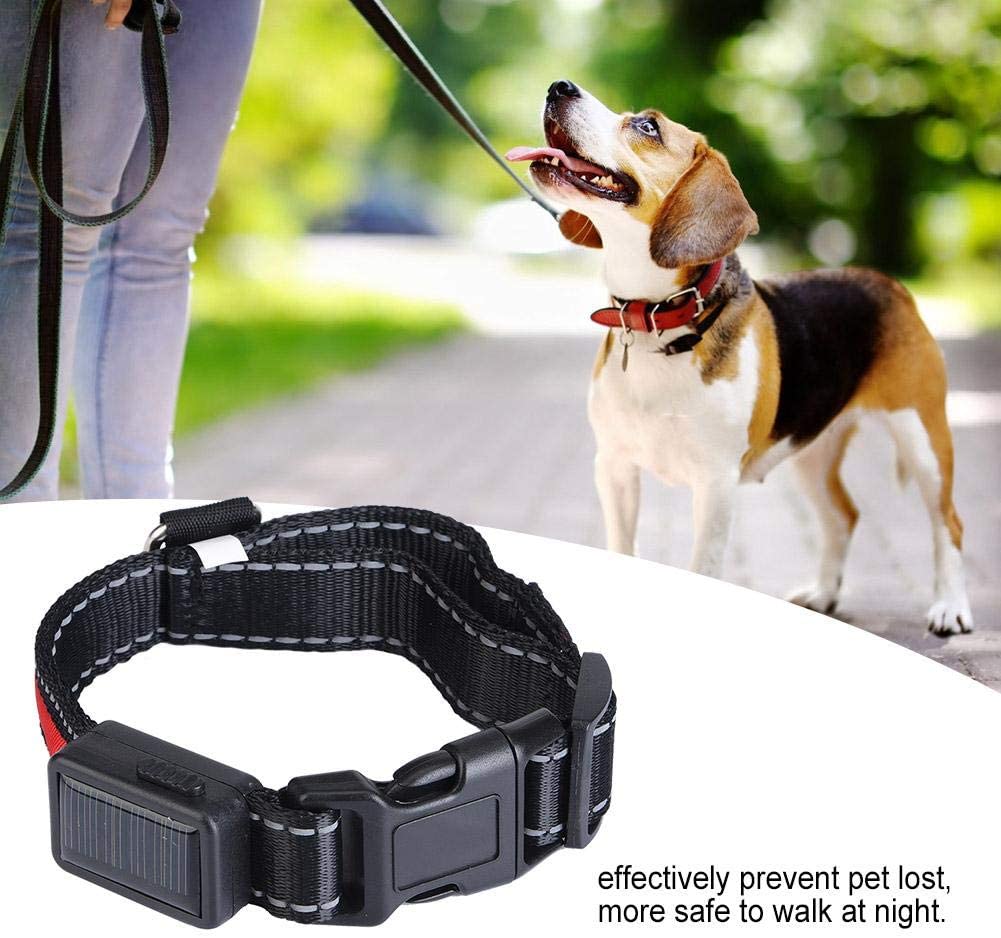  Pssopp Collar de Perro LED, USB Recargable Que Brilla intensamente Collar de Perro de Mascota Luz de Seguridad Collares de Nylon Collares para Perros pequeños, medianos y Grandes(Rojo, L) 