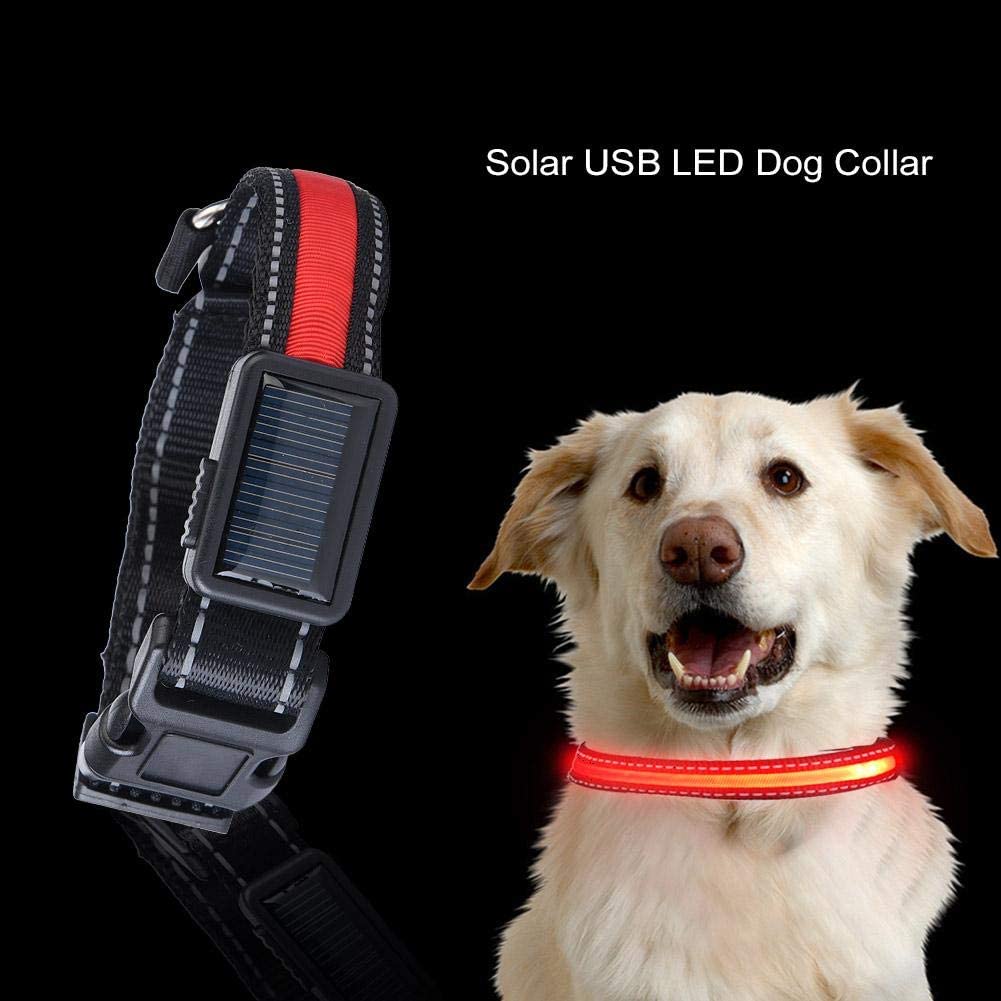  Pssopp Collar de Perro LED, USB Recargable Que Brilla intensamente Collar de Perro de Mascota Luz de Seguridad Collares de Nylon Collares para Perros pequeños, medianos y Grandes(Rojo, L) 