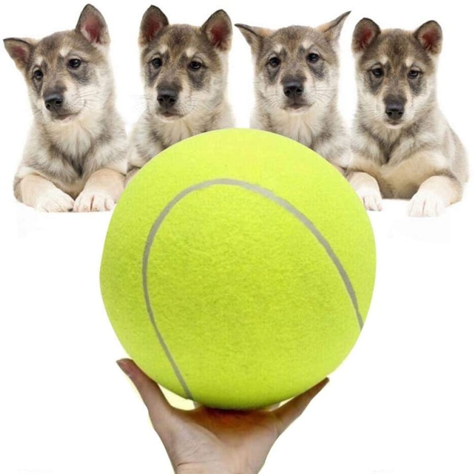  QWERASD Transer Pet Supply Dog Toy Pelota de Tenis Pet Dog Chew Juguetes interactivos para la diversión al Aire Libre Entrenamiento Playa Deportes Mascotas Juguetes 