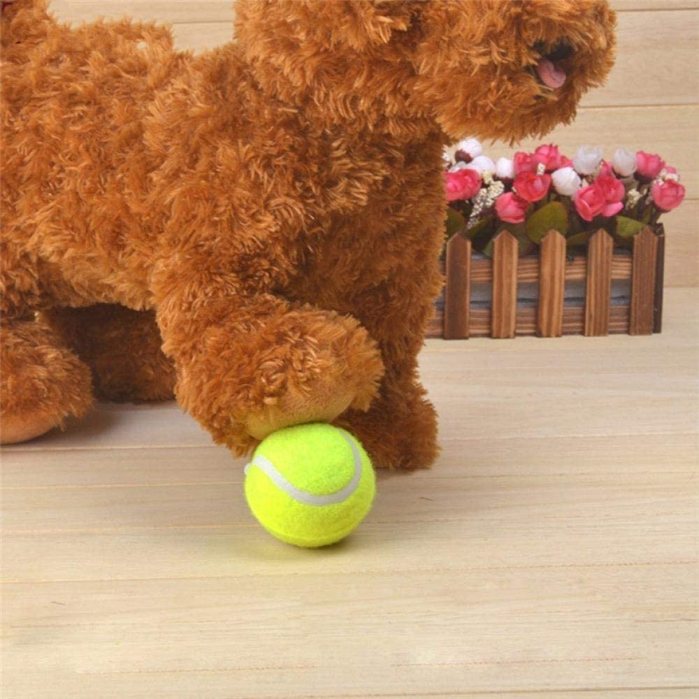  QWERASD Transer Pet Supply Dog Toy Pelota de Tenis Pet Dog Chew Juguetes interactivos para la diversión al Aire Libre Entrenamiento Playa Deportes Mascotas Juguetes 