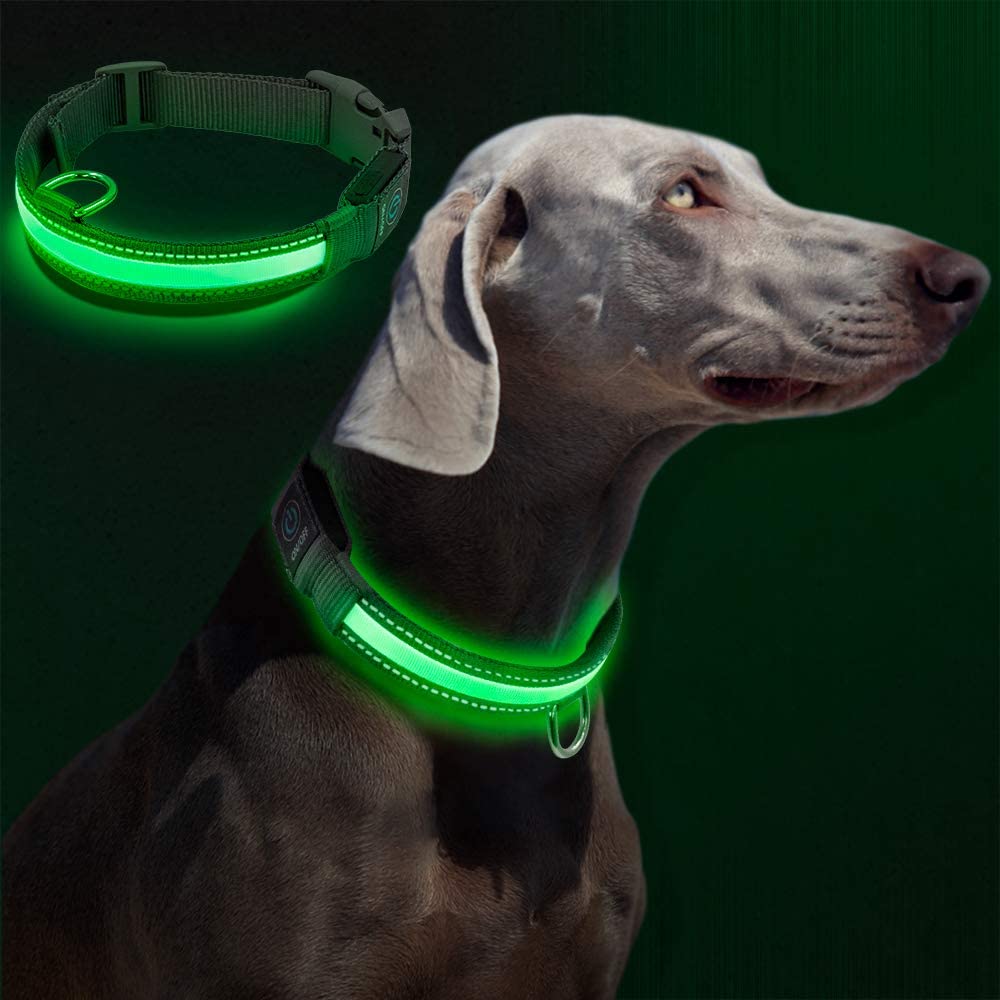  Raffaelo LED Collar para Perros, Intermitente Llevó Collar de Seguridad para Perros de LED de Nylon Luminous Que Brilla Recargable Collar Brillante de Seguridad para Los Perros (M-40-50CM) 