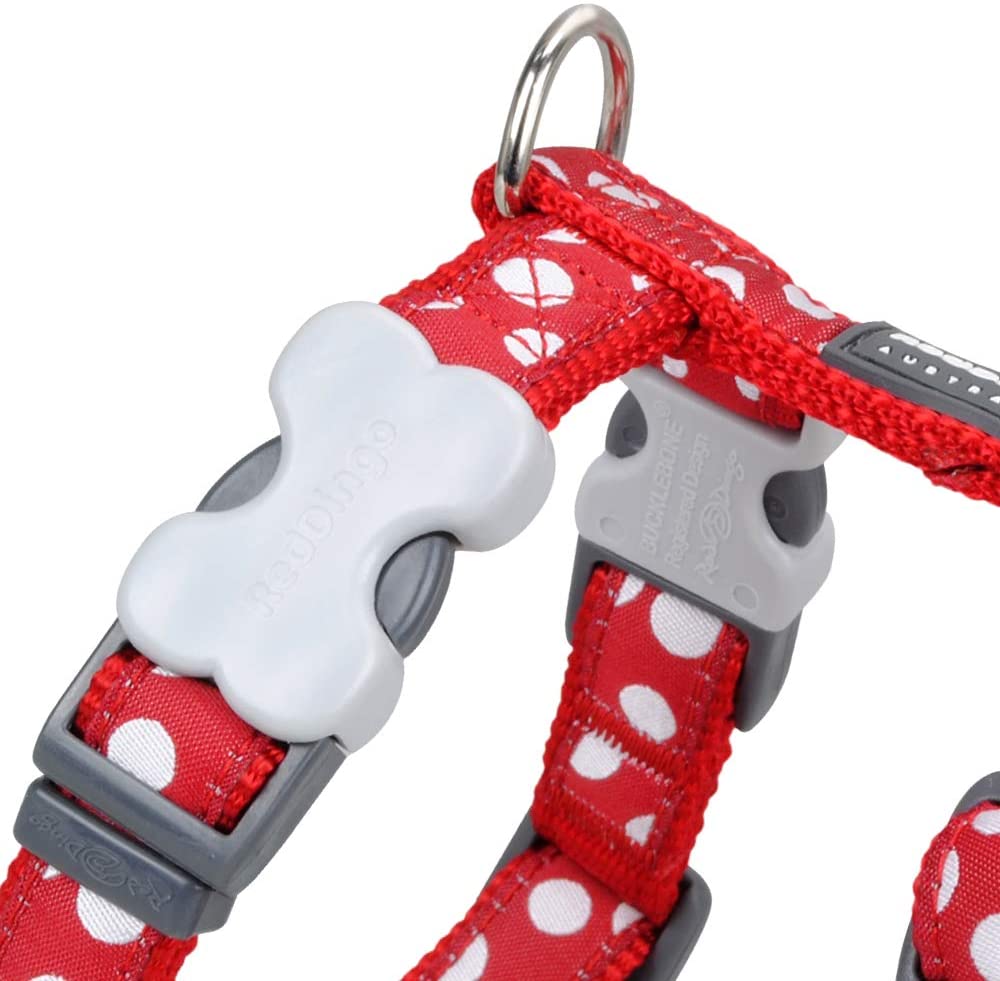  Red Dingo GmbH Spots - Collar para perro , Rojo, S 