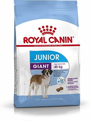  ROYAL CANIN 31 - Alimento Gigante para Perros (3,5 kg) 