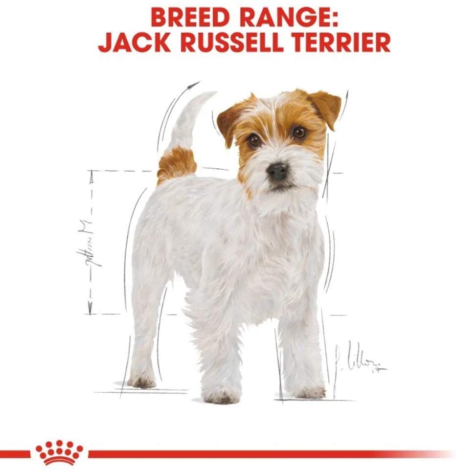  Royal Canin Comida para perros Jack Russell Adult 7.5 Kg 