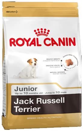  Royal Canin Comida para perros Jack Russell Junior 3 Kg 