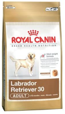  Royal Canin Labrador Retriever - Comida para perros (3 kg) 