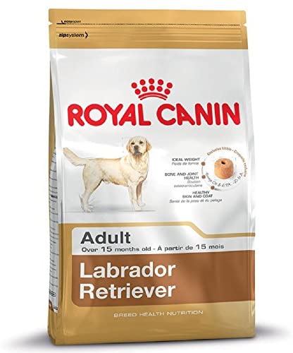  Royal Canin Labrador Retriever - Comida para perros secos para adultos de 15 meses o más - Paquete de 2 x 12 kg 