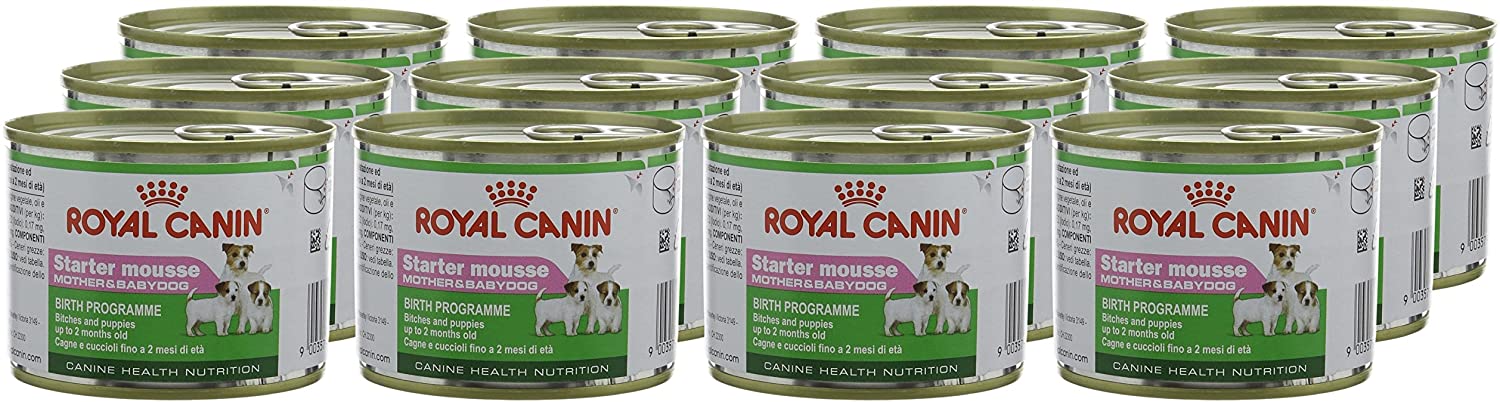  Royal Canin Starter Mousse, Comida para perros, 12x195 gr 