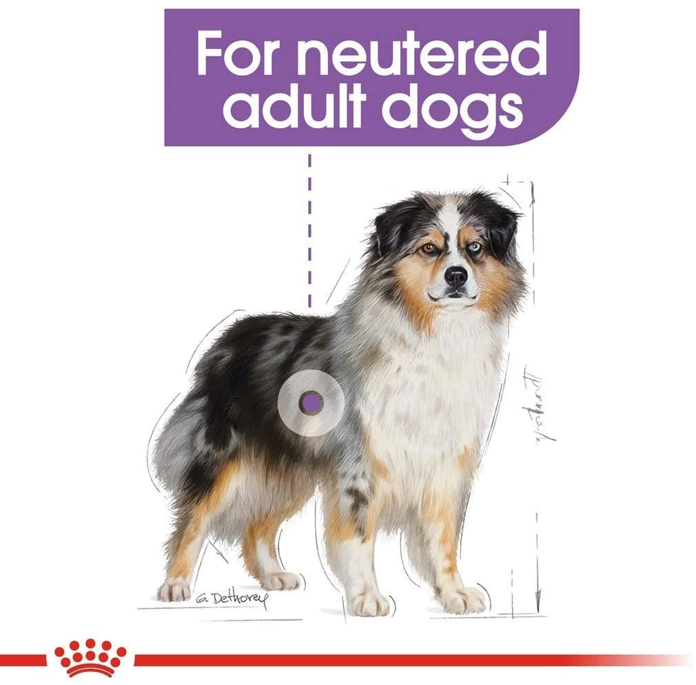  Royal Canine Adult Sterilised Medium 10Kg 10000 g 