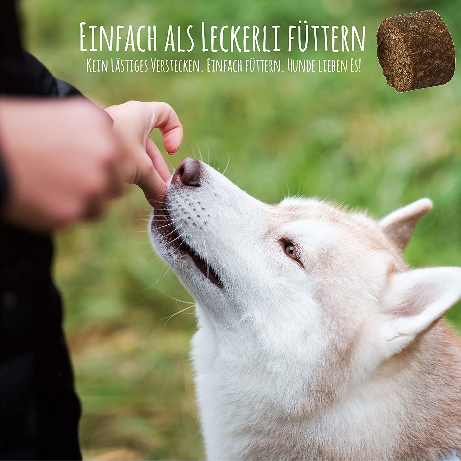  Schnüffelfreunde Innere Ruhe I Ayuda Calmante para Perros - Complemento Alimenticio para el Perro Miedoso para Calmar, Combatir el Miedo, Alivia el Estrés y la Ansiedad y para más Tranquilidad 
