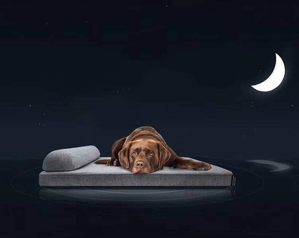 Segle The Dog'S Bed, Cama ortopédica de Felpa de Primera Calidad para Perro, Impermeable, Espuma viscoelástica, terapéutica de Calidad con Almohada, Grande 70 x 60 x 6 cm (Gris) 