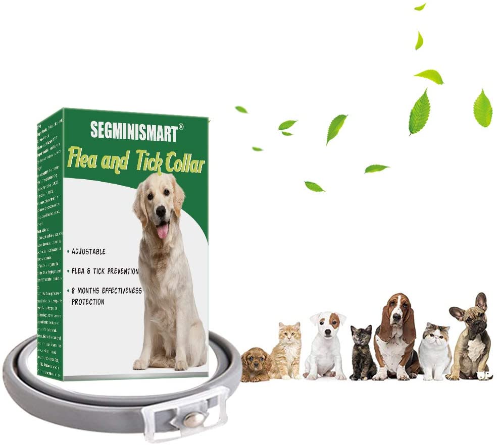 SEGMINISMART Collar Antiparasitos Perros,Collar de pulgas,Collar Antiparasitos para Perros y Gatos,Collar Anti Mosquitos Tamaño Ajustable 