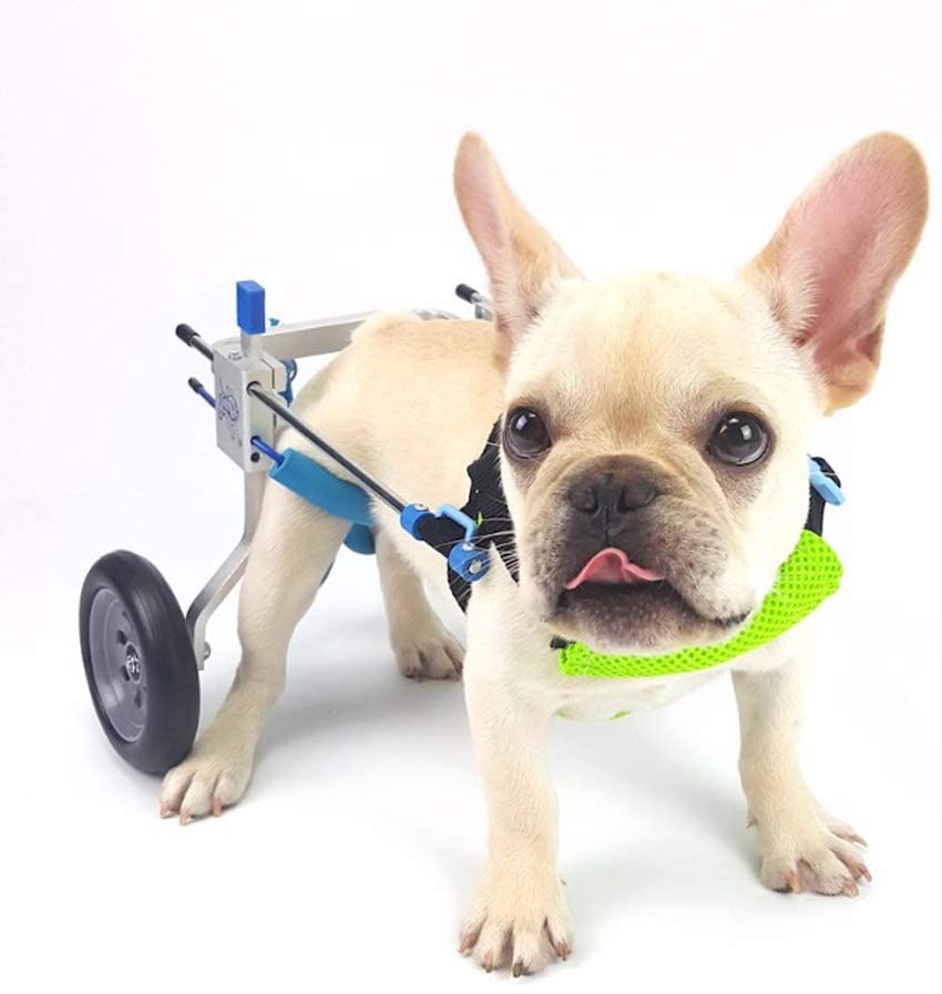  Silla de ruedas para mascotas, extremidad posterior discapacitada, hiena, gatito, vespa para mascotas, asistente de pierna trasera ajustable, peso 2 -5 kg, ayuda de rehabilitación silla de ruedas para 