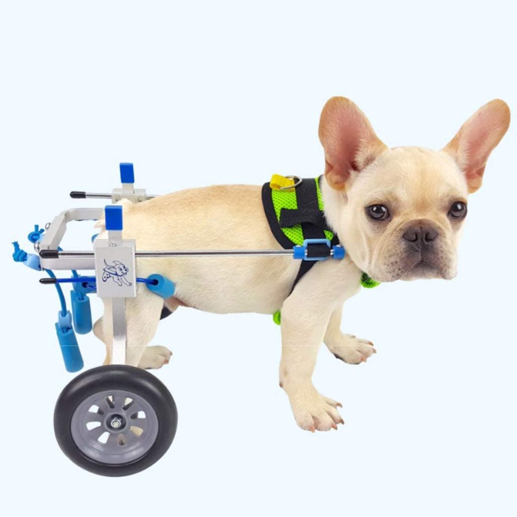  Silla de ruedas para mascotas, extremidad posterior discapacitada, hiena, gatito, vespa para mascotas, asistente de pierna trasera ajustable, peso 2 -5 kg, ayuda de rehabilitación silla de ruedas para 