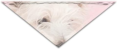  Sunny R Pet Drool - Babero para mascotas, diseño de terrios blancos o ballenas 