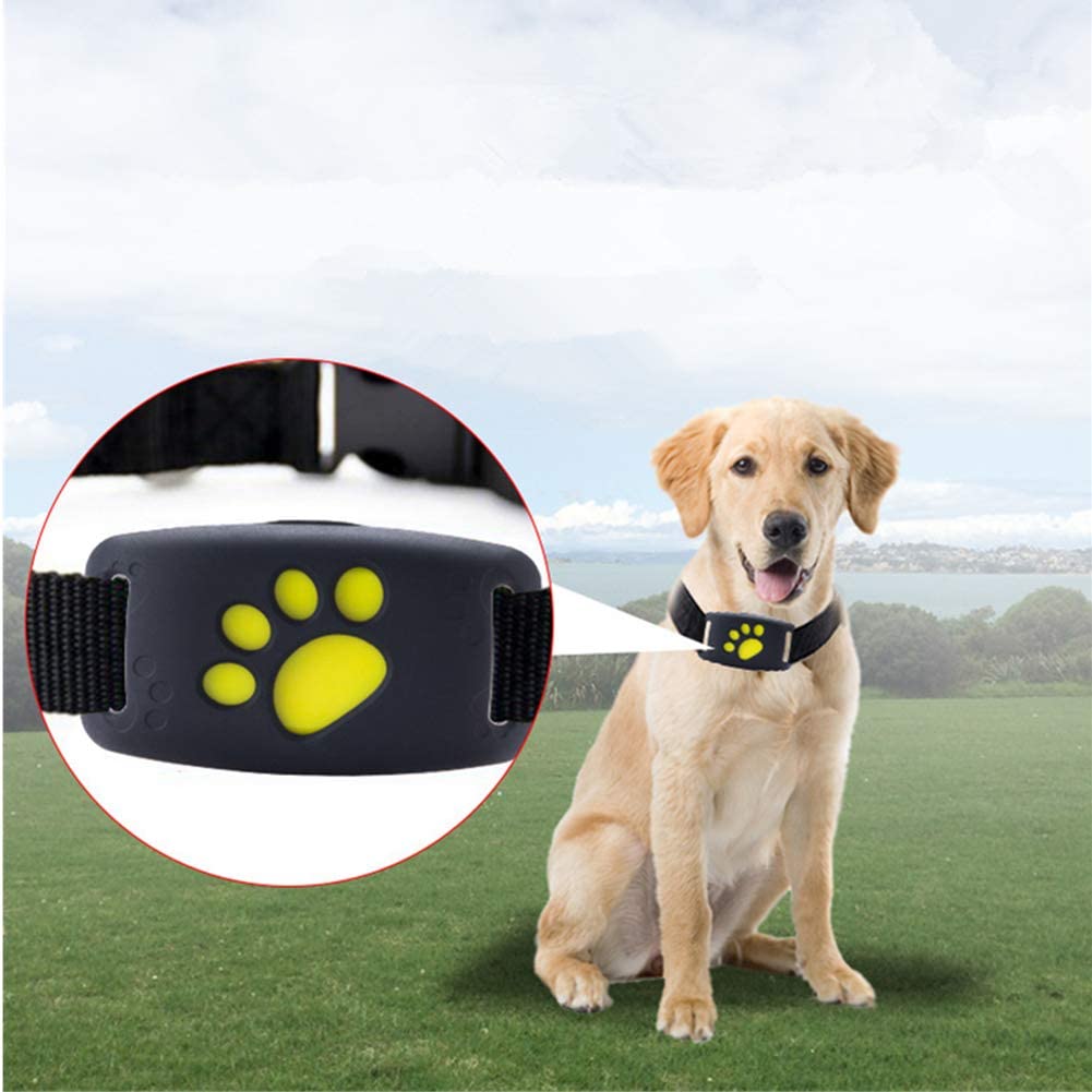  Sunzit Rastreador GPS para Mascotas, Perros Dispositivo de Seguimiento GPS para Mascotas, localizador GPS para Perros GPS Collar (No para Gatos) 