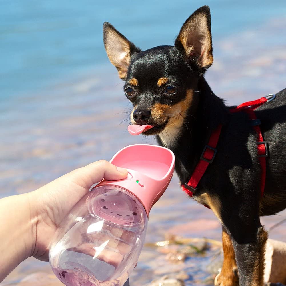  swonuk Botella de Agua para Perro, 350ml Antibacteriano Botella Portátil de Agua Potable para Perros y Gatos al Aire Libre, Libre de BPA, (Azul) (350ML, Rosa) 