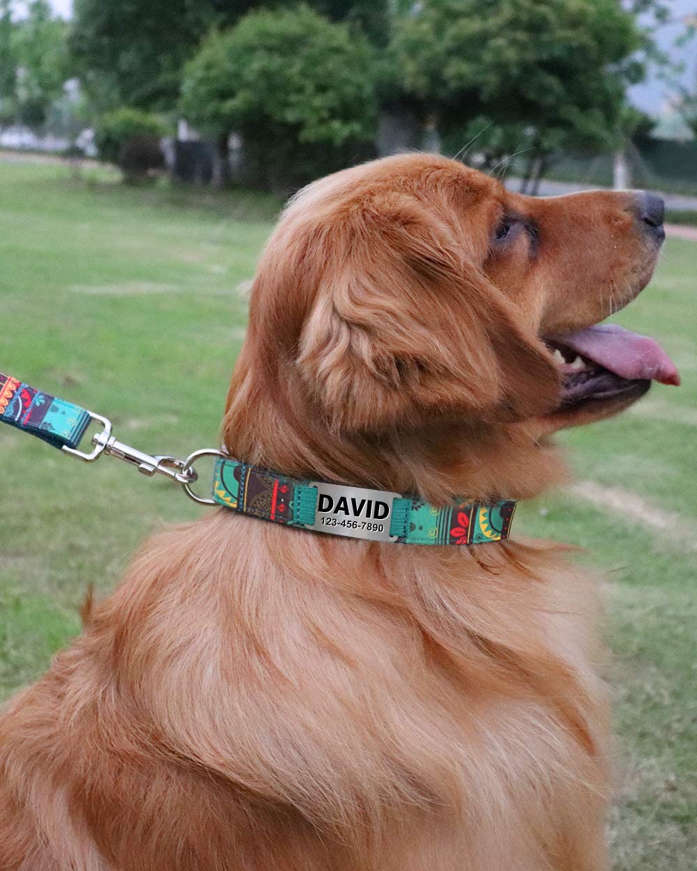  TagME Collar de Perro Personalizado,Collares de Perro con Estilo,Adecuado para Perros Medianos,Cazador Verde 