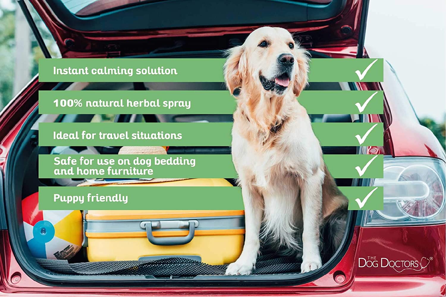  The Dog Doctors Spray calmante de Hierbas Ideal para Mascotas, solución calmante para Perros para Viajar o en Momentos de Necesidad, 240 ml 